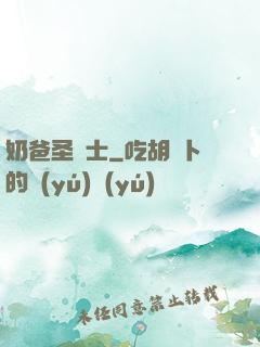 奶爸圣騎士