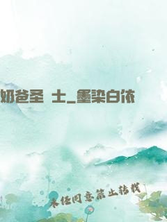 奶爸圣騎士