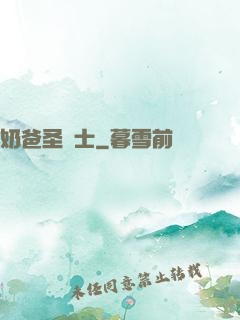 奶爸圣騎士