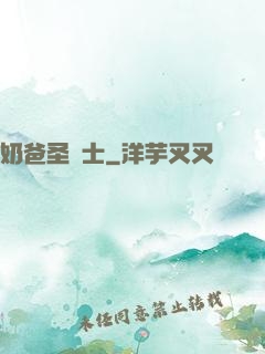 奶爸圣騎士
