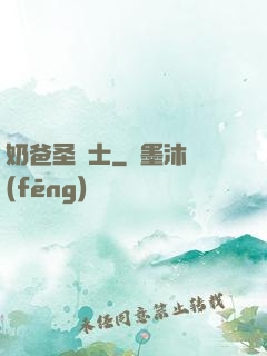 奶爸圣騎士