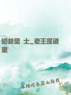 奶爸圣騎士