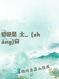 奶爸圣騎士