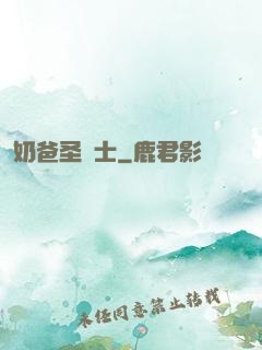 奶爸圣騎士