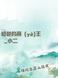 奶爸的商業(yè)王國