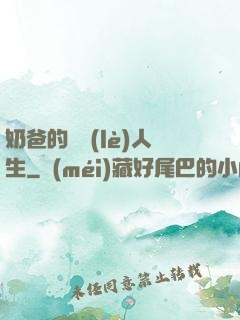 奶爸的娛樂(lè)人生