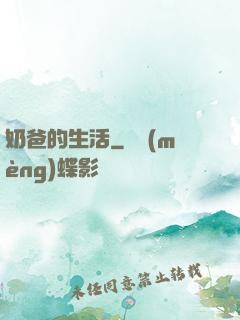 奶爸的生活