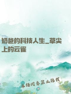 奶爸的科技人生