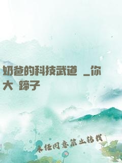 奶爸的科技武道館