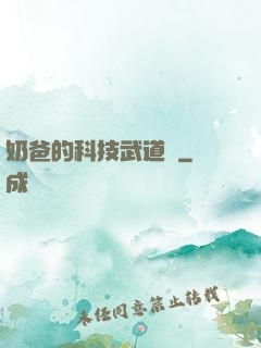 奶爸的科技武道館