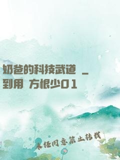 奶爸的科技武道館