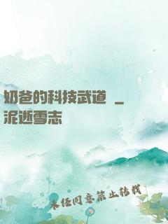 奶爸的科技武道館