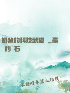 奶爸的科技武道館