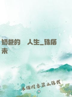 奶爸的鑒寶人生