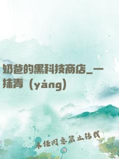 奶爸的黑科技商店