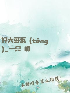 好大哥系統(tǒng)