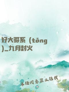 好大哥系統(tǒng)
