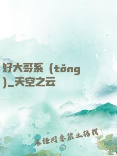 好大哥系統(tǒng)
