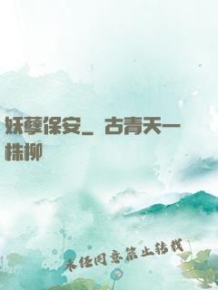 妖孽保安