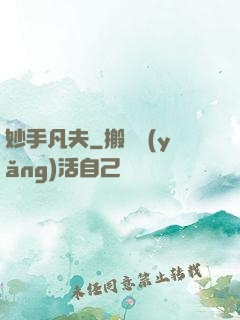 妙手凡夫