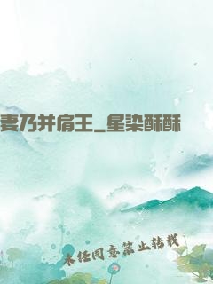 妻乃并肩王