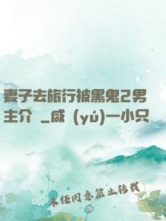 妻子去旅行被黑鬼2男主介紹