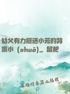 姑父有力挺送小芳的背景小說(shuō)