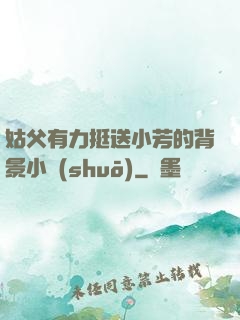 姑父有力挺送小芳的背景小說(shuō)