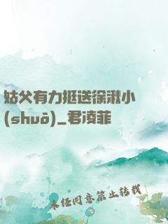 姑父有力挺送徐湫小說(shuō)