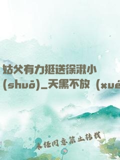 姑父有力挺送徐湫小說(shuō)