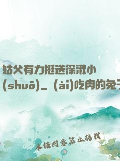 姑父有力挺送徐湫小說(shuō)