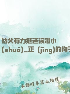 姑父有力挺送徐湫小說(shuō)