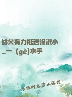 姑父有力挺送徐湫小說
