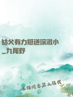 姑父有力挺送徐湫小說