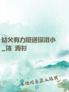 姑父有力挺送徐湫小說
