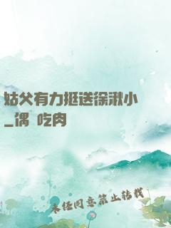 姑父有力挺送徐湫小說