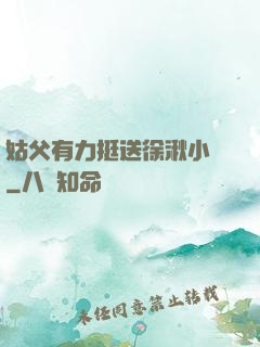 姑父有力挺送徐湫小說