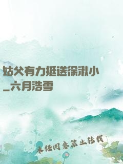 姑父有力挺送徐湫小說