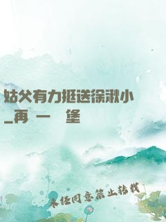 姑父有力挺送徐湫小說