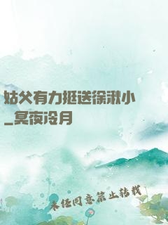 姑父有力挺送徐湫小說