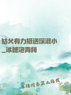 姑父有力挺送徐湫小說