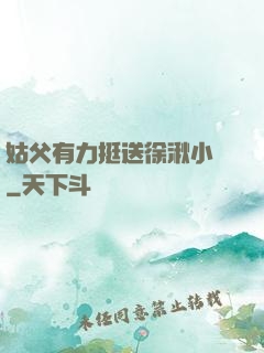 姑父有力挺送徐湫小說