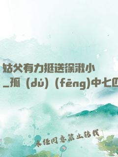 姑父有力挺送徐湫小說