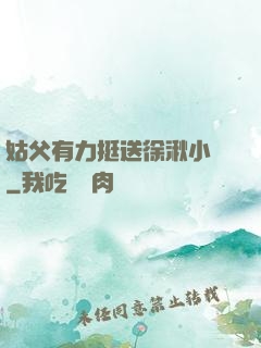 姑父有力挺送徐湫小說