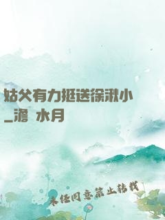 姑父有力挺送徐湫小說