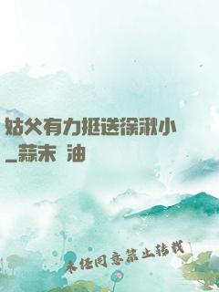 姑父有力挺送徐湫小說