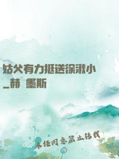 姑父有力挺送徐湫小說