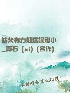 姑父有力挺送徐湫小說