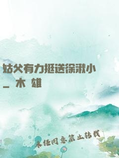 姑父有力挺送徐湫小說