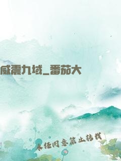 威震九域